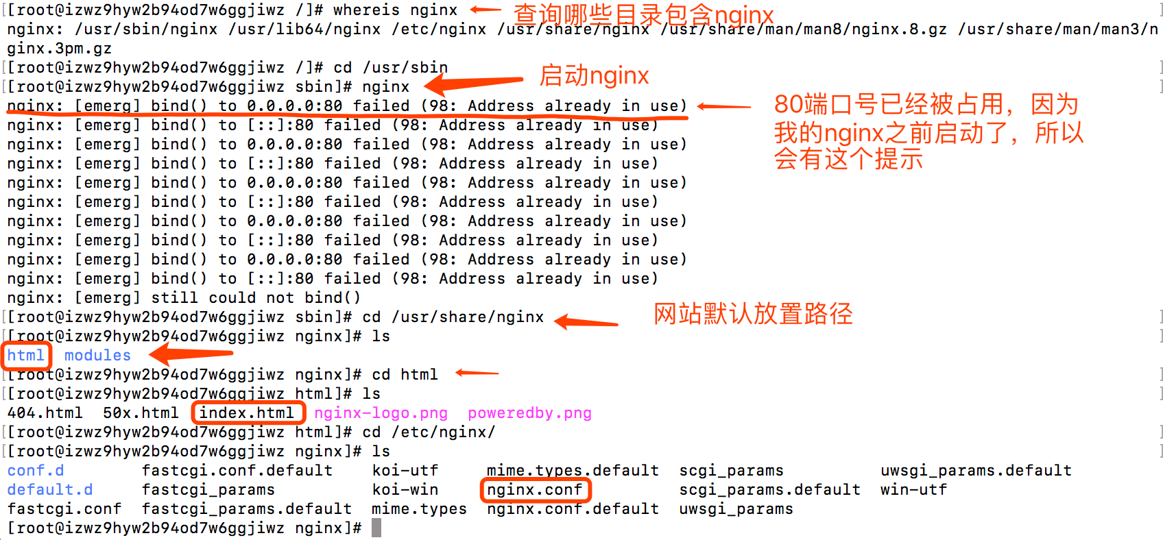 启动nginx