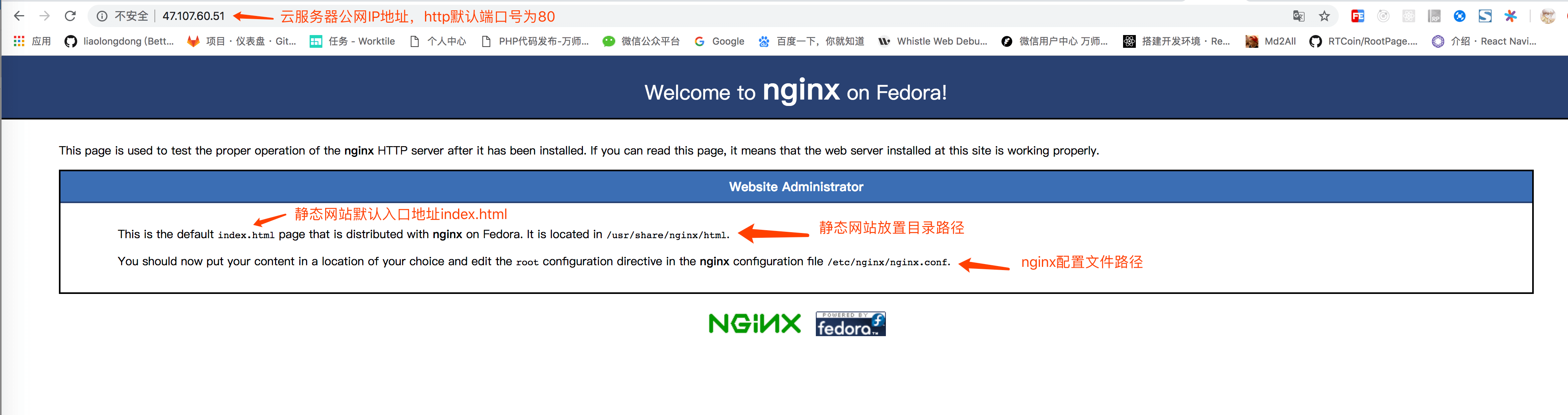 检测nginx是否安装成功